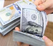 Giá USD tự do tăng mạnh 300 đồng, NHNN hút về lượng lớn VND trong tuần qua