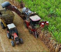 QNS: Đặt mục tiêu kinh doanh thận trọng, chi trả cổ tức trên 15% năm 2026