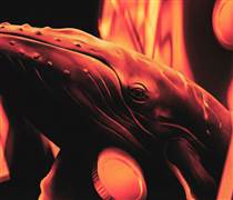 Cá mập Cardano đang mất niềm tin vào giá ADA?