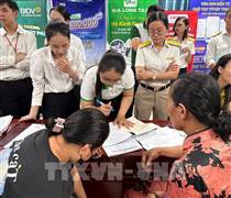 Nghị quyết 68-NQ/TW: Kích hoạt chuyển đổi hộ kinh doanh