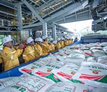 DCM: Phân bón Cà Mau hoàn thành 40% kế hoạch xuất khẩu ure năm 2026