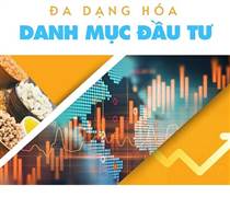 Đa dạng hóa danh mục giữa biến động toàn cầu