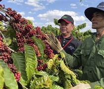 Giá nông sản biến động, xuất khẩu nhiều mặt hàng tăng