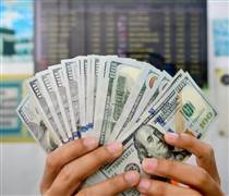 Đà tăng giá của đô la liệu có bền vững?