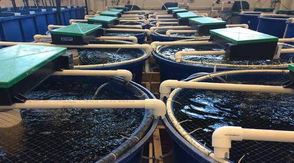 Kinh tế - đầu tư