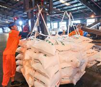 Nhà máy Đạm Phú Mỹ đảm bảo nguồn cung, sẵn sàng tận dụng cơ hội xuất khẩu