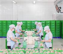 SAF: Safoco lên kế hoạch kinh doanh 2026 đi ngang, duy trì cổ tức 30%