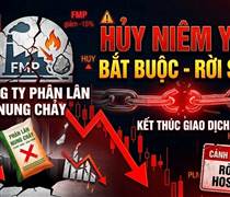 VAF: Một công ty sản xuất phân bón 66 năm tuổi sắp bị huỷ niêm yết bắt buộc, rời sàn HOSE