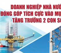Infographics: Doanh nghiệp nhà nước đóng góp tích cực vào mục tiêu tăng trưởng 2 con số
