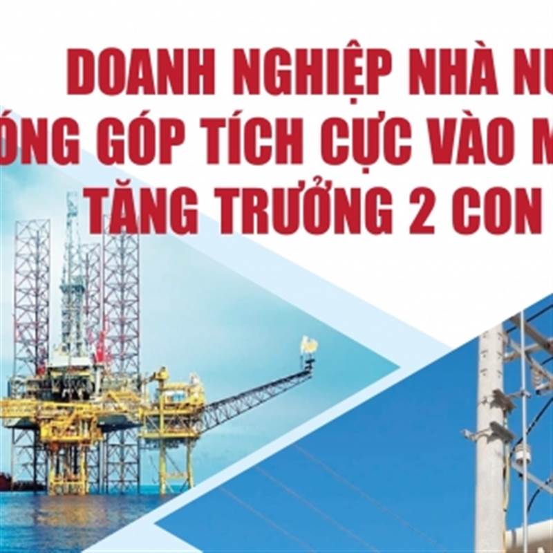 Infographics: Doanh nghiệp nhà nước đóng góp tích cực vào mục tiêu tăng trưởng 2 con số