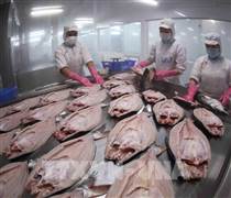 Việt Nam - Nga: Mở rộng dư địa, nâng tầm hợp tác thương mại