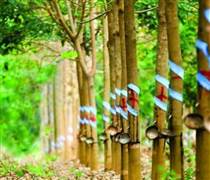 Một doanh nghiệp đặt mục tiêu lợi nhuận năm 2026 tăng hơn 150% so với năm trước nhờ khoản tiền đền bù từ công ty thành viên của THACO