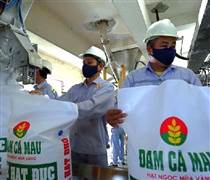 Cơ hội nào từ nhóm ngành phân bón?