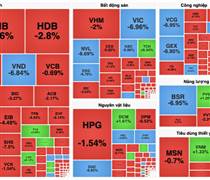 Loạt cổ phiếu nằm sàn, VN-Index thủng mốc 1.600 điểm