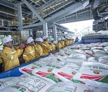 DCM: Xuất khẩu tăng mạnh, DCM vẫn thận trọng với mục tiêu kinh doanh