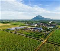 SBT: Cổ đông lớn đăng ký bán gần 44 triệu cổ phiếu SBT