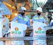 DCM: Một doanh nghiệp phân bón lớn lên kế hoạch lãi sụt giảm 40%