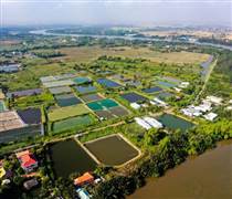 Vinhomes bắt tay công ty riêng của tỷ phú Phạm Nhật Vượng làm đại đô thị hơn 90.000 tỷ tại tỉnh sát vách với TPHCM