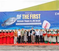 ANV: Vừa mua xong 1 triệu cổ phiếu, 'Thiếu gia' nhà vua cá rô phi Việt lại muốn gom thêm 1 triệu đơn vị ANV