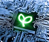 Doanh nghiệp đứng trước “luật chơi kép”