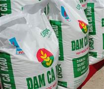 DCM: Cổ phiếu Đạm Cà Mau “tím lịm” dù đặt mục tiêu “đi lùi”