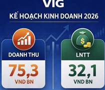 VIG: Đặt kế hoạch tăng vốn lên hơn 1.100 tỷ đồng trong năm 2026