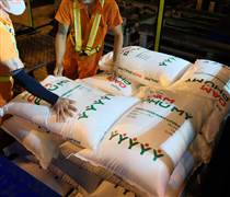 DPM: PVFCCo - Phú Mỹ: 23 năm mở rộng chuỗi sản xuất phân bón và hóa chất