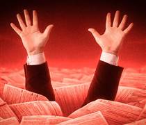 Giá Cardano đối mặt nguy cơ giảm 20% khi nhiều nhà đầu tư nhỏ lẻ chốt lời