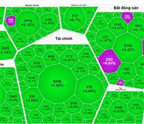 Sóng bất động sản và chứng khoán quay trở lại?