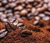 Ngày 28/3: Giá cà phê tiếp tục giảm, hồ tiêu giữ ổn định quanh vùng cao