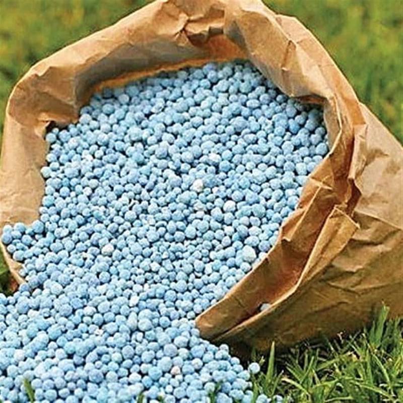 Giá phân bón sẽ tiếp tục tăng mạnh trong nửa đầu năm 2026?