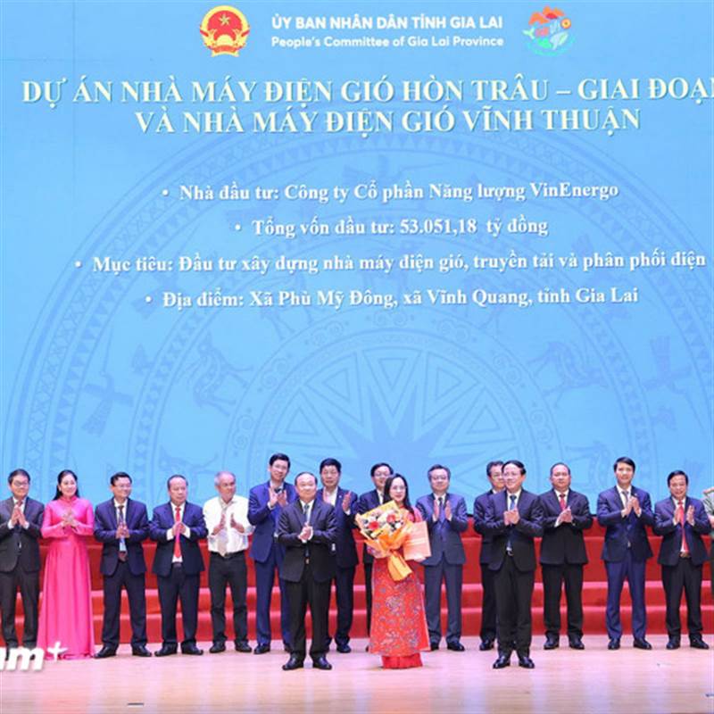 VinEnergo hợp tác phát triển cụm nhà máy điện gió gần 8 tỷ USD tại Gia Lai