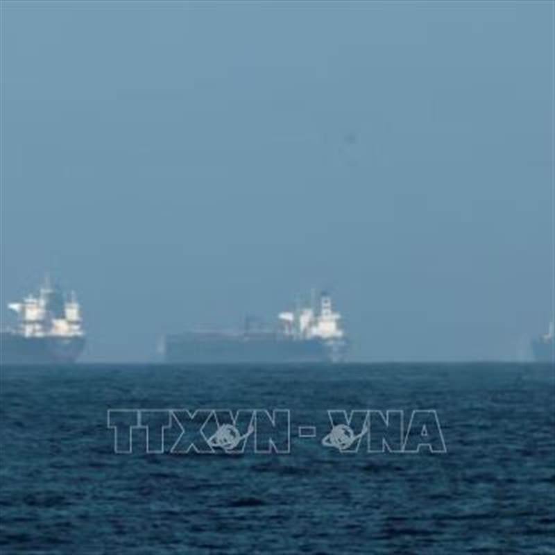 Kiến nghị cho tàu biển Việt Nam qua eo biển Hormuz theo thứ tự ưu tiên