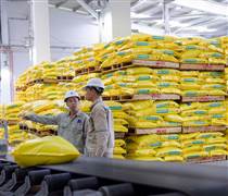 Doanh nghiệp phân bón kiến nghị gỡ áp lực chi phí trước xung đột Trung Đông