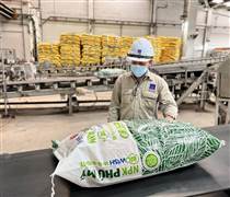 Nâng giá mục tiêu DPM và DCM, cả khi chi phí đầu vào dầu nhiên liệu giảm