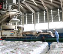 Hai 'ông lớn' Việt Nam đang nắm giữ át chủ bài giữa cảnh Hormuz gây đứt gãy chuỗi cung ứng phân bón toàn cầu