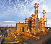 NT2: Một doanh nghiệp được dự báo lãi quý 1 tăng vọt, lên kế hoạch chia cổ tức tiền mặt gấp 3 lần