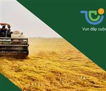 TCO: Biến động nhân sự tại TCO Holdings