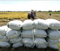 Từ cú sốc toàn cầu đến nâng tầm nội lực - Bài cuối: Nông nghiệp thế giới trước nguy cơ thiếu hụt phân bón