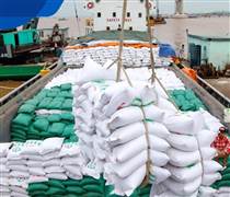 Cơn bĩ cực của doanh nghiệp ngành gạo