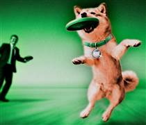 Làn sóng rời bỏ crypto: Những nhà phát triển và người có ảnh hưởng hàng đầu nói họ “bỏ cuộc” — nhưng thật sự có phải vậy không?