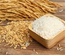 Ngày 2/4: Giá lúa gạo tại Đồng bằng sông Cửu Long khởi sắc trở lại