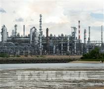 Giá dầu tăng vọt, chứng khoán châu Á “đỏ lửa” sau tín hiệu từ Tổng thống Mỹ