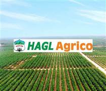 Công ty Nông nghiệp của tỷ phú Trần Bá Dương lỗ luỹ kế hơn 10.000 tỷ đồng, kiểm toán nghi ngờ khả năng hoạt động liên tục