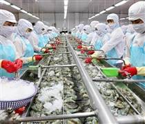 FMC: Doanh số Sao Ta đi lùi trong tháng 3/2026