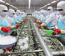 Doanh nghiệp thủy sản 'vượt bão'