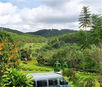 Một doanh nghiệp liên quan đến ông Đặng Thành Tâm báo lãi tăng vọt, giảm mạnh nợ vay