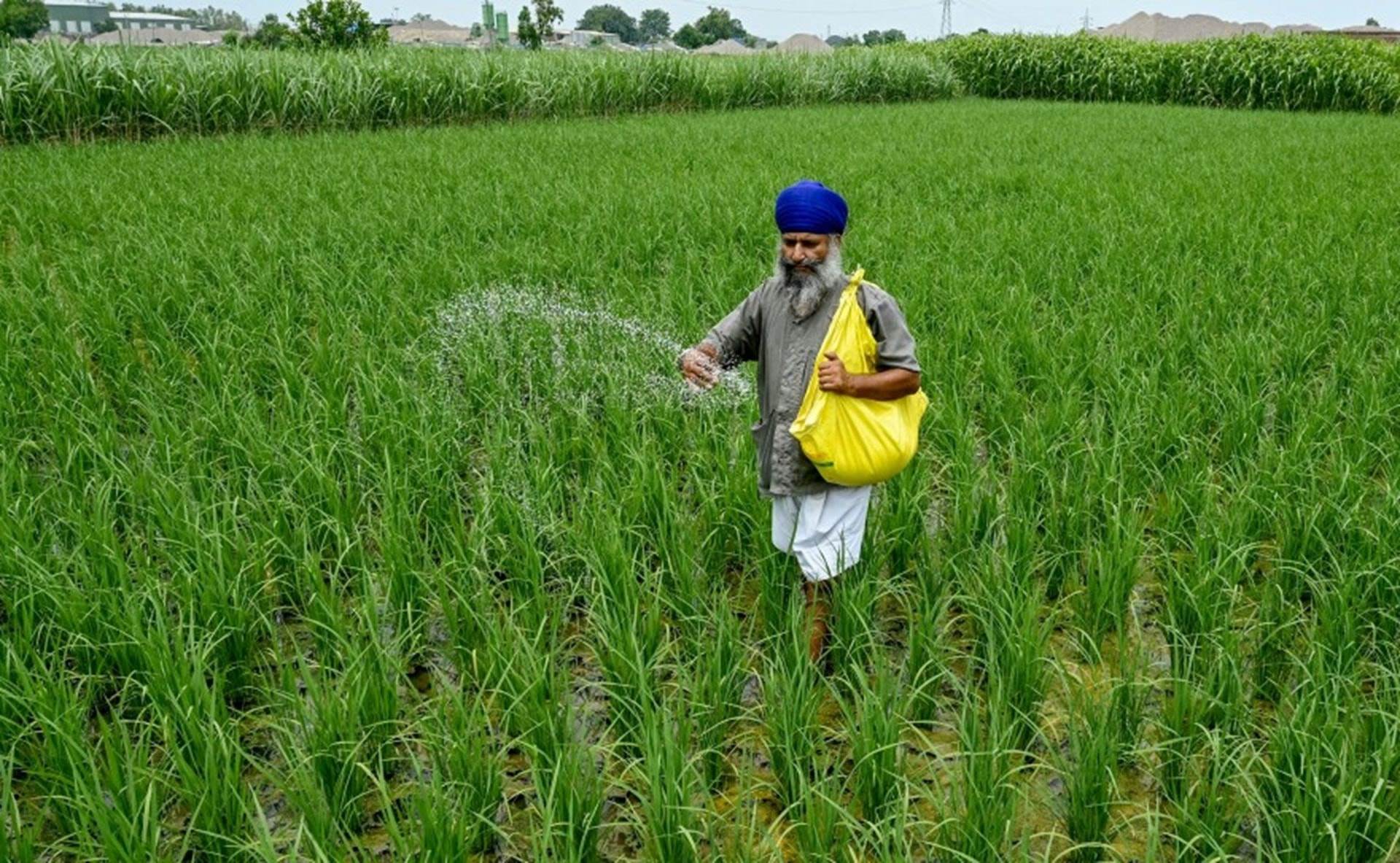 Giá mặt hàng quan trọng tăng sốc tới 83%, một quốc gia BRICS lập tức 'cầu cứu' từ Nga đến Việt Nam để nhập khẩu