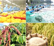 Kim ngạch xuất khẩu nông, lâm, thủy sản quý I/2026 tăng 5,9%