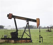 Độc lập năng lượng có giúp Mỹ 'miễn nhiễm' với cú sốc dầu mỏ toàn cầu?